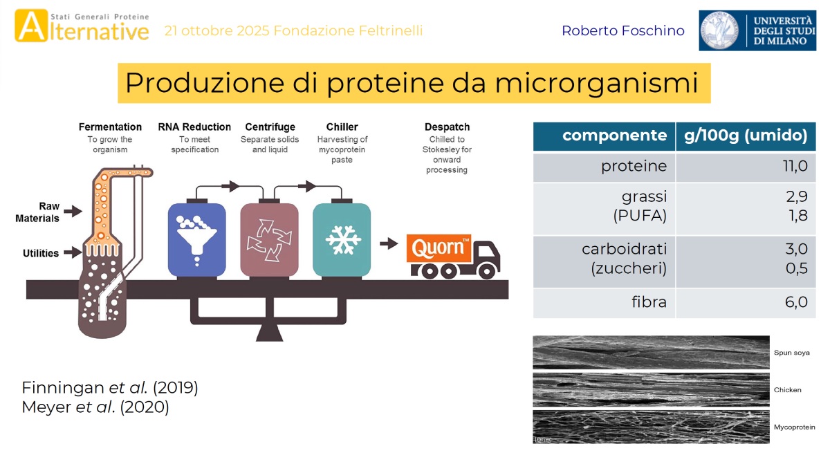 Produzione di proteine da microrganismi